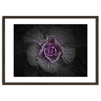 Backyard Flowers No 108 Color Version