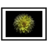 Backyard Flowers No 128 Color Version thumbnail