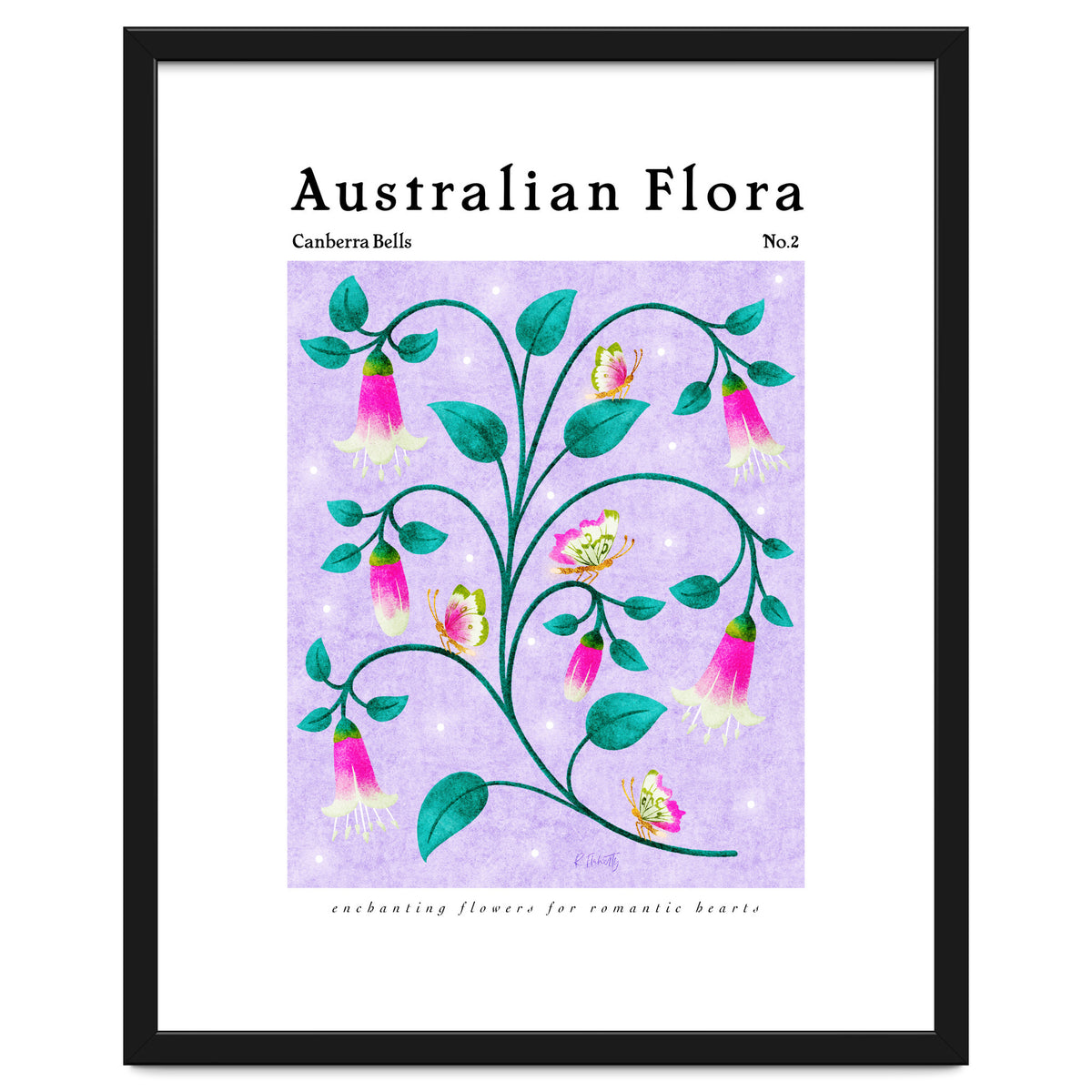 Australian Flora: Canberra Bells