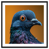 Close Up Of A Pigeon's Head And Neck thumbnail