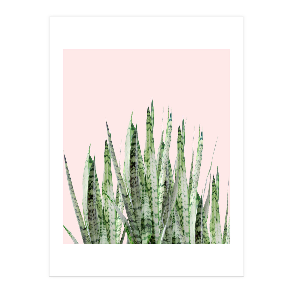 Botanical Balance (Print Only)