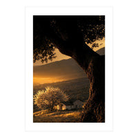 The Hill (Print Only)