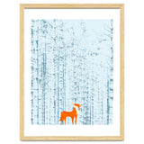 Fox Lost In The Woods thumbnail