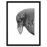 Huginn