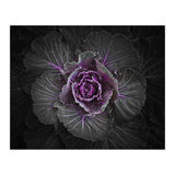 Backyard Flowers No 108 Color Version (Print Only) thumbnail