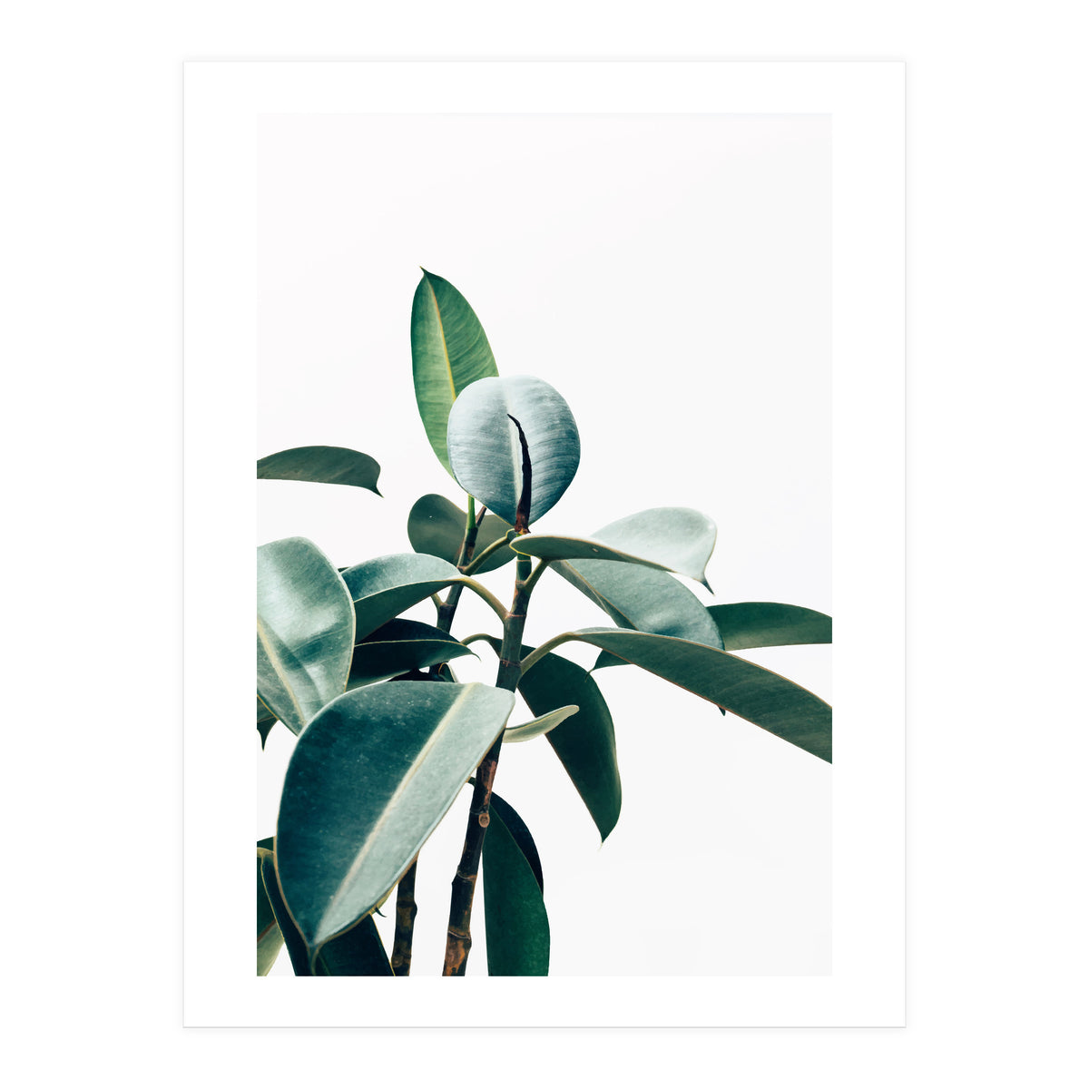 L'amour de ma vie #society6 #decor #buyart (Print Only)