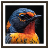 Vibrant Bird With Orange And Blue Plumage thumbnail