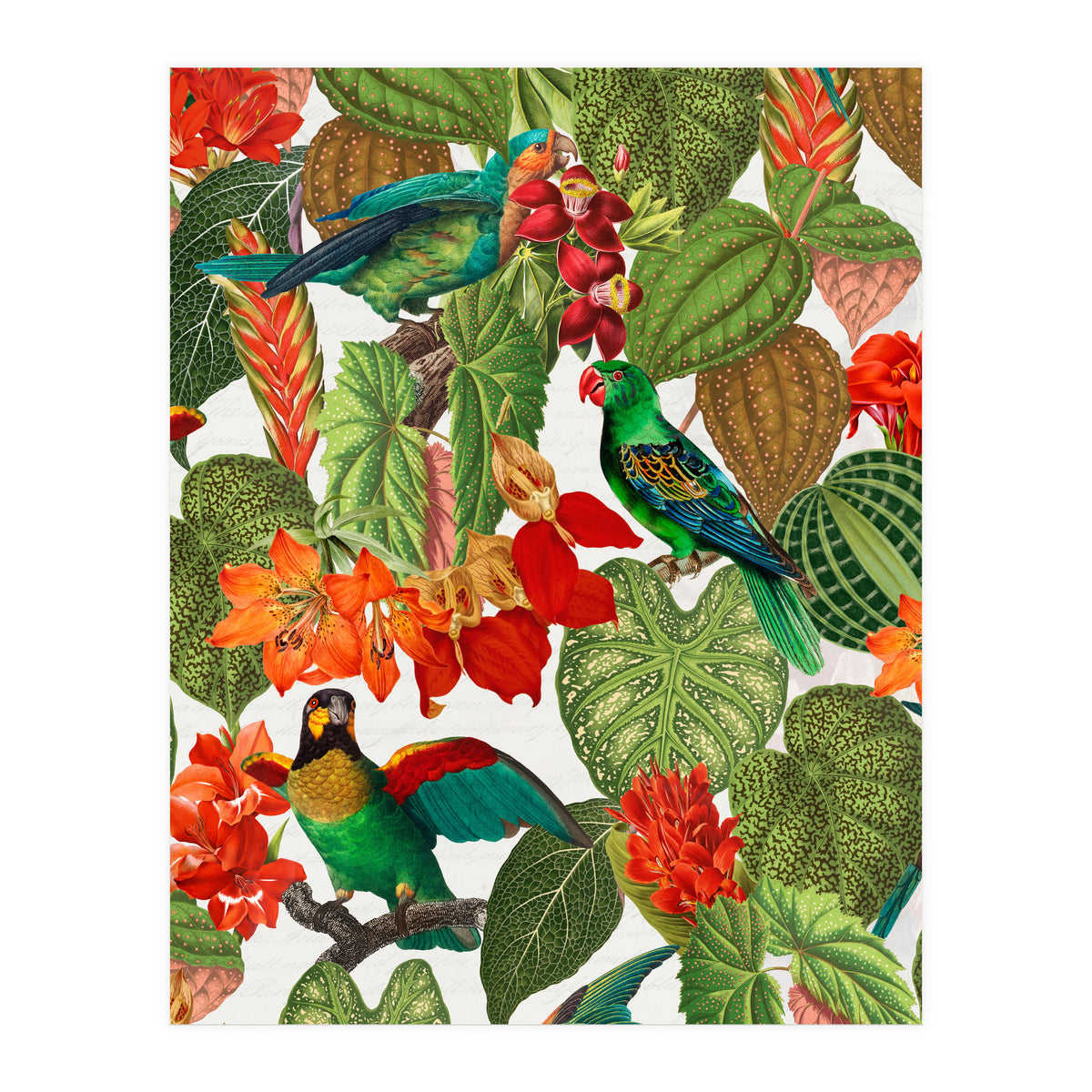Tropical Parrots In Flower Jungle  (Print Only)