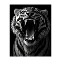 Roaring Tiger portrait  (Print Only)