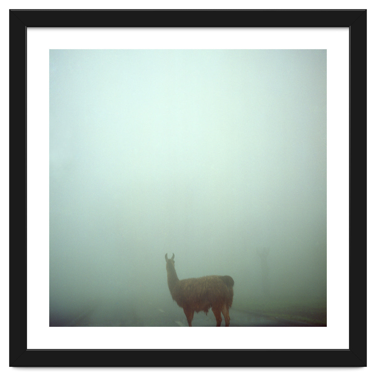 Silence of breath - 04