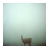 Silence of breath - 04 (Print Only) thumbnail