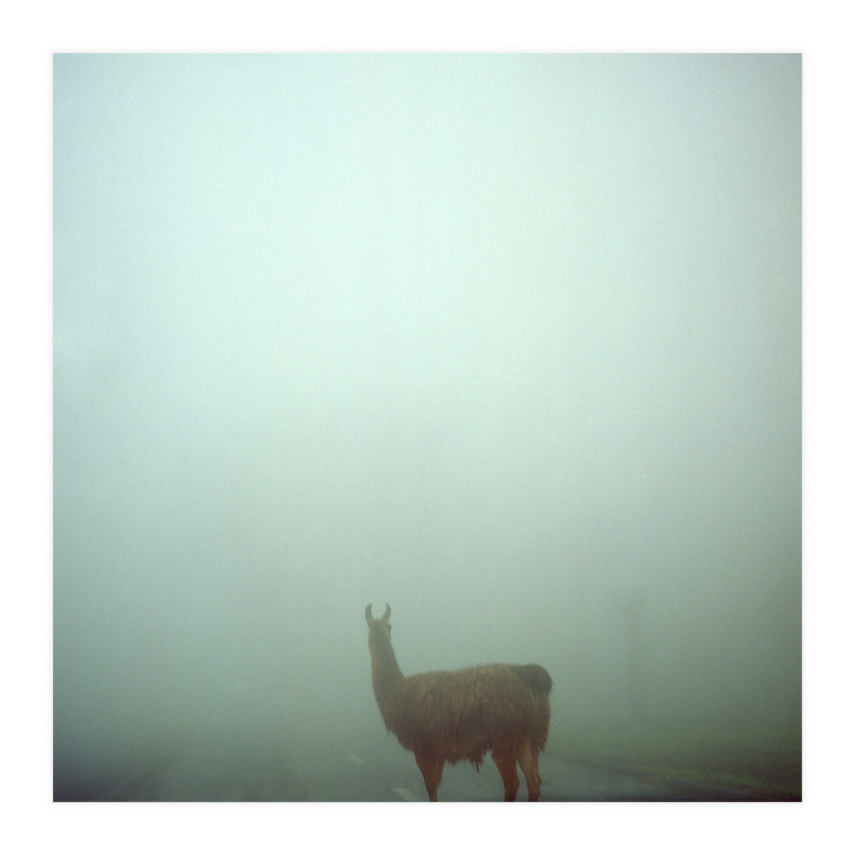 Silence of breath - 04 (Print Only)