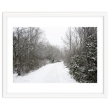 Walking through the snow park thumbnail