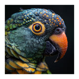 Close Up Of A Colorful Parrot's Face (Print Only) thumbnail