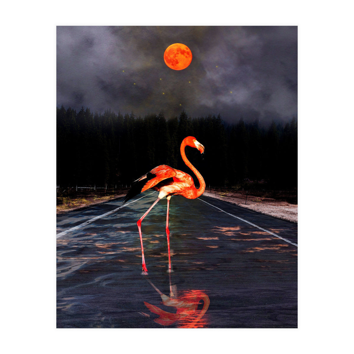 Flamingo and Red Moon  (Print Only)