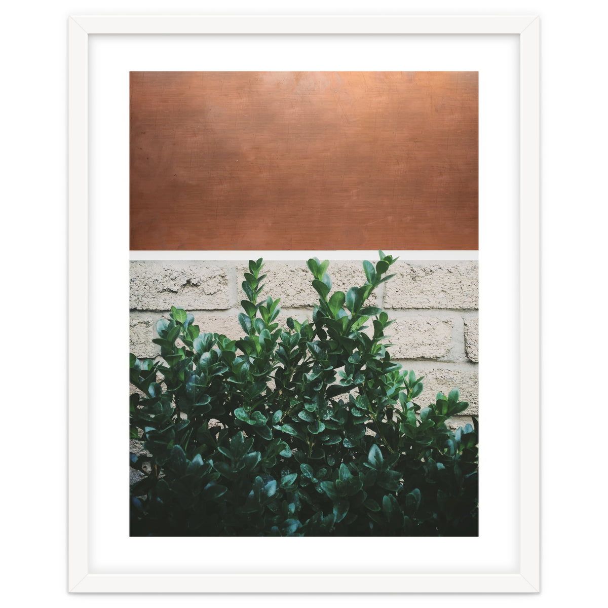 Plant + Copper