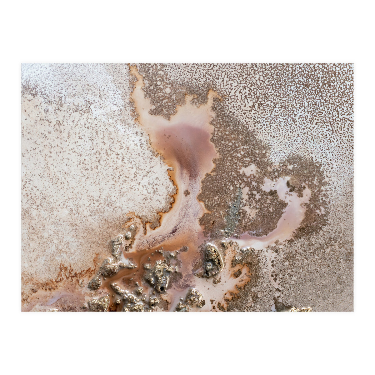 Discovery (Print Only)