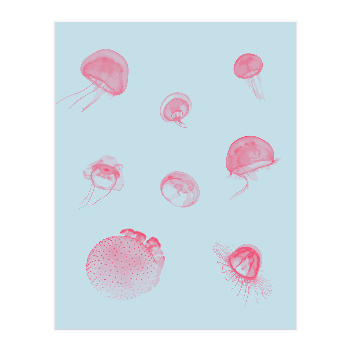 Jellyfish (Print Only)