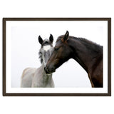 Two Horses thumbnail