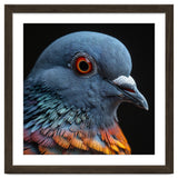 Close Up Of A Pigeon Bird thumbnail