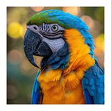 Blue And Yellow Macaw Parrot Close Up Detailed Shot (Print Only) thumbnail