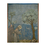 Saint Francis of Assisi preaching to the birds. Giotto. GIOTTO DE BONDONE (1266-1337). (Print Only) thumbnail