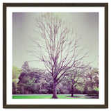 Tree Of Dreams thumbnail