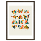 Colorful Butterflies thumbnail