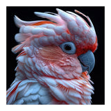 Pink Cockatoo Parrot Close Up Portrait Feather  (Print Only) thumbnail