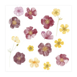Pressed Flowers (Print Only) thumbnail