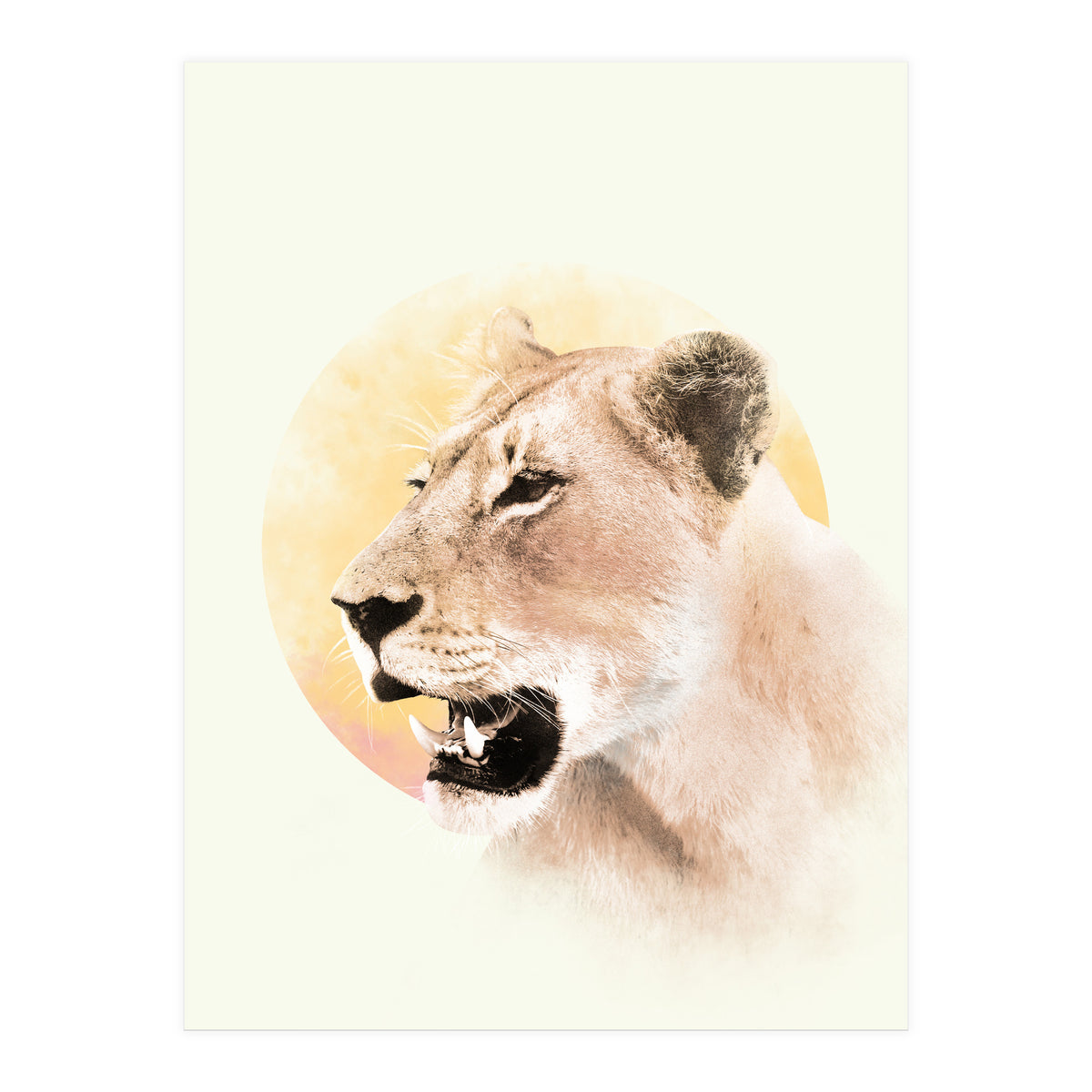 Lioness (Print Only)