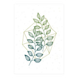 Geometry And Nature III (Print Only) thumbnail