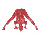 Prasarita Padottanasana in Red (Print Only) thumbnail