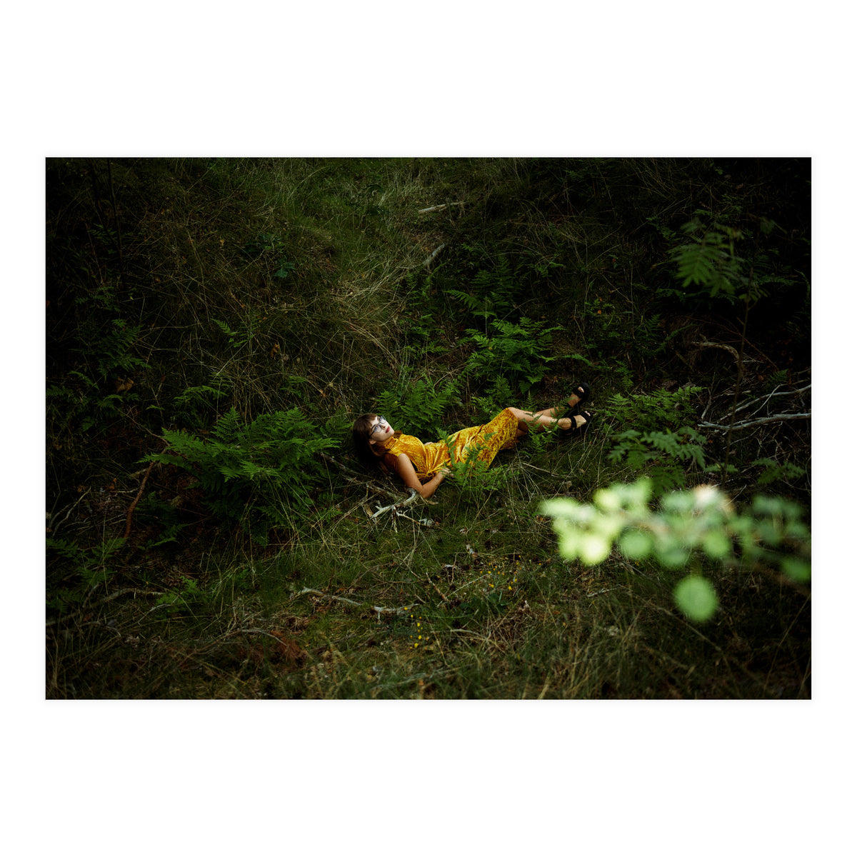 Did You Miss Me? (Print Only)