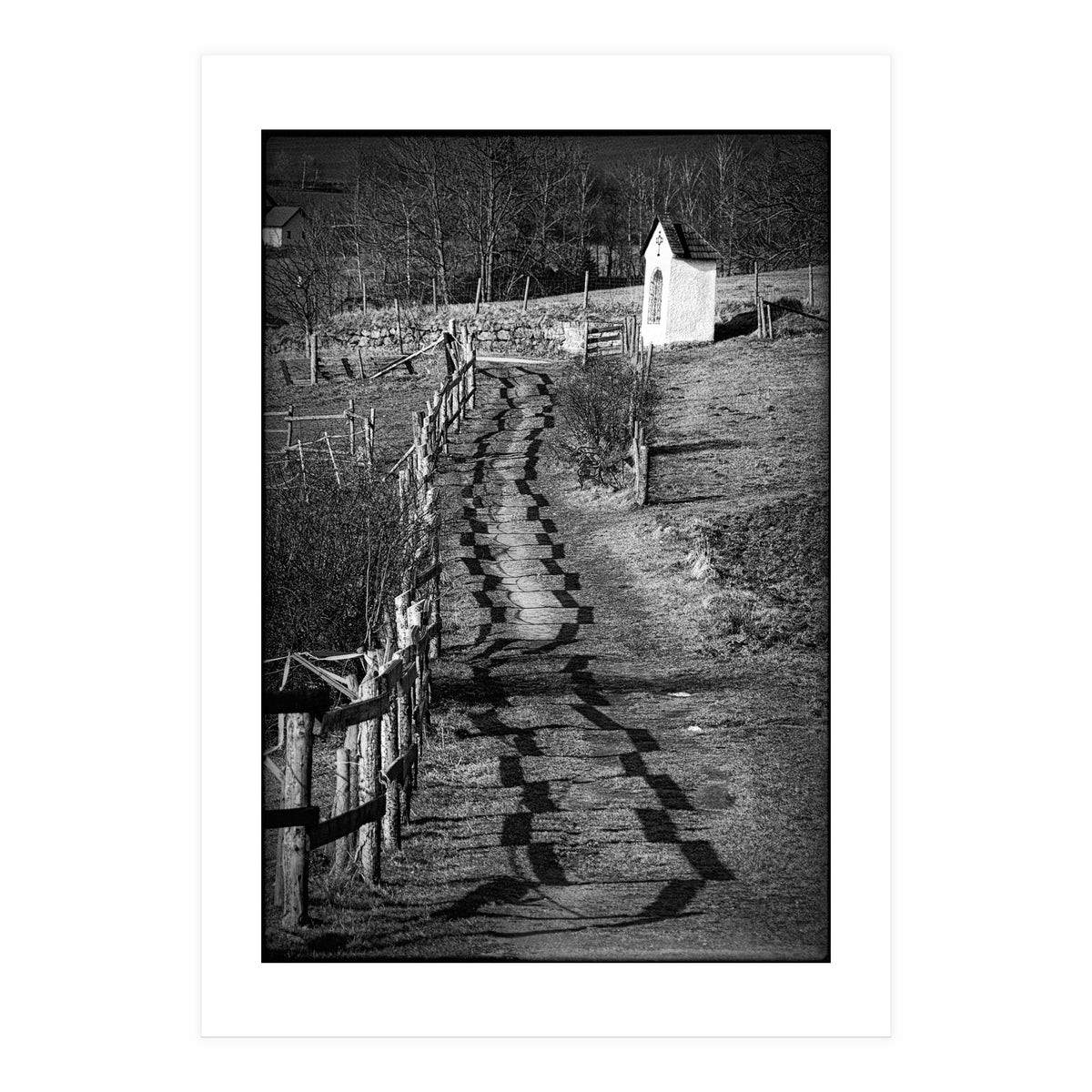 Forestry path (Print Only)