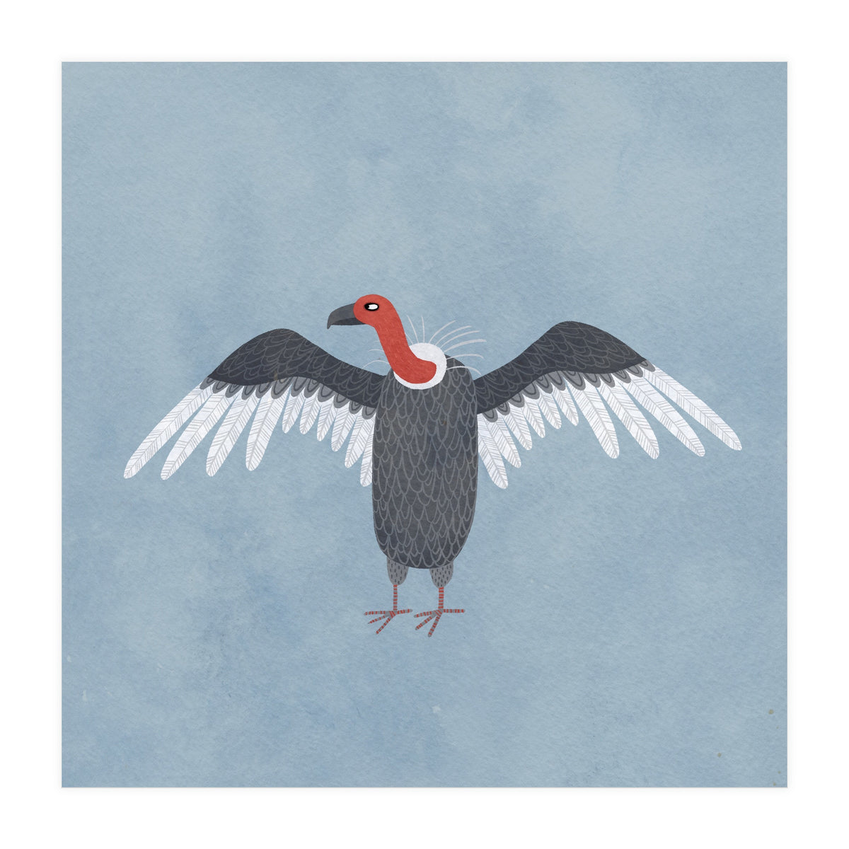 Vulture (Print Only)