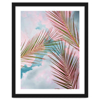 Palms + Sky