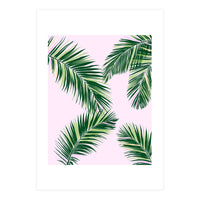 Palmfrond (Print Only)