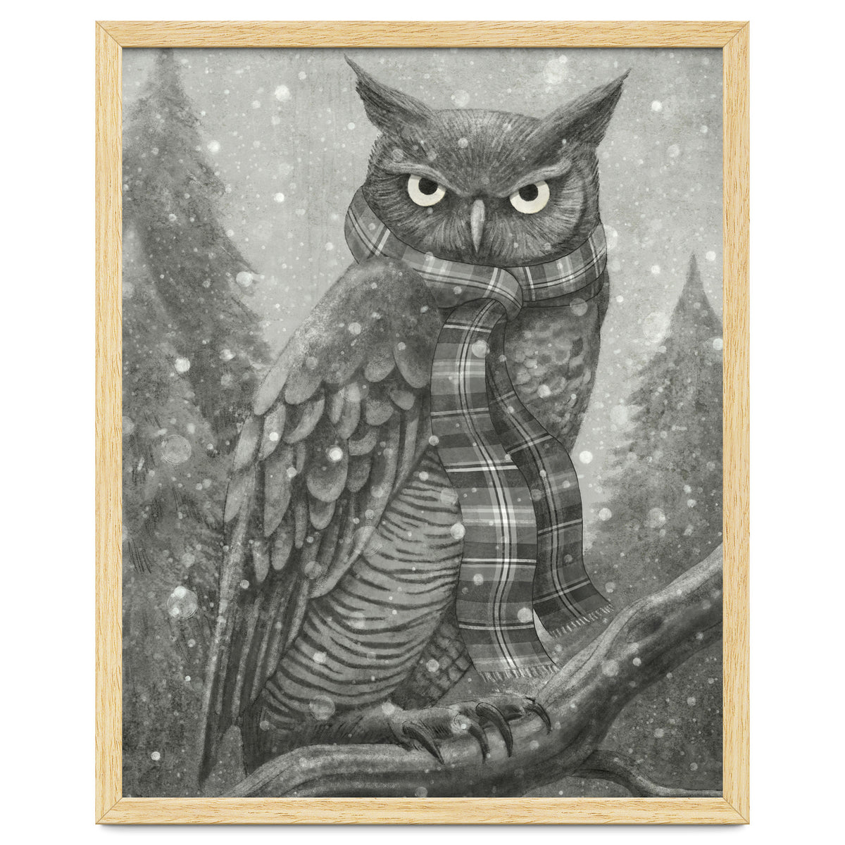 Winter Owl