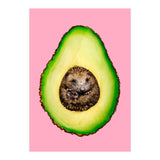 Hedgehocado (Print Only) thumbnail