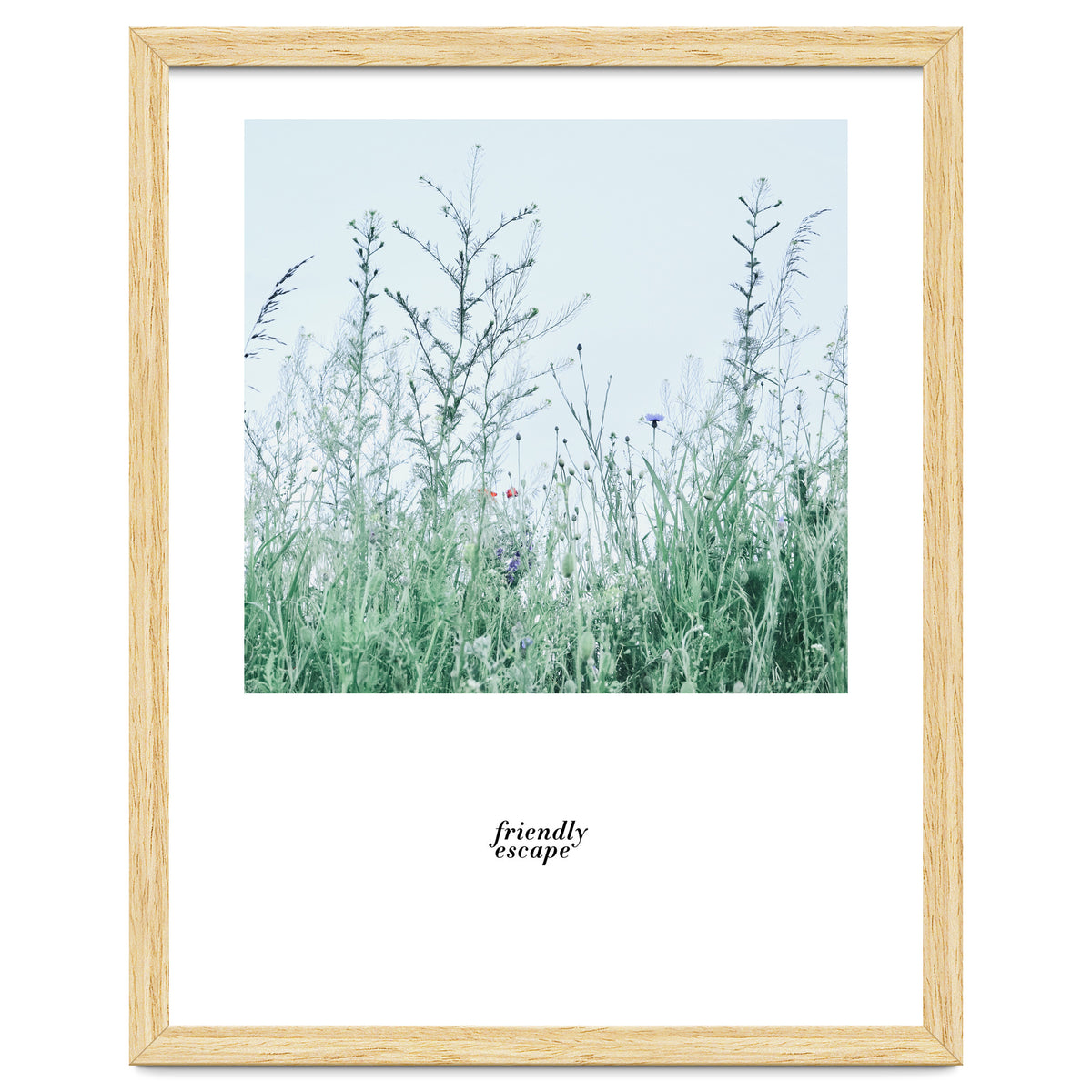 Friendly escape - Nature Photography -