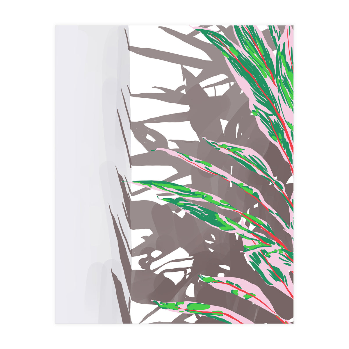 Plant & Shadow (Print Only)