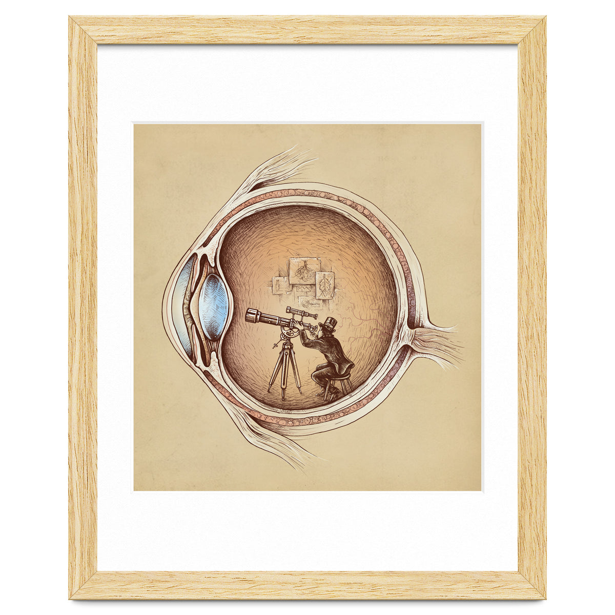 Extraordinary Observer