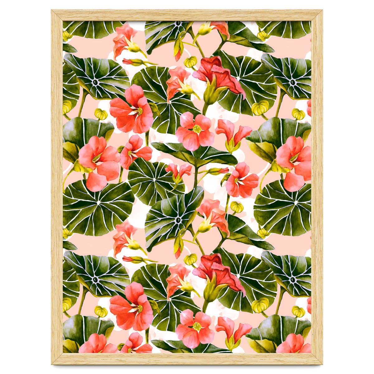 Nasturtiums watercolor 03