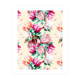 King proteas bloom II (Print Only) thumbnail