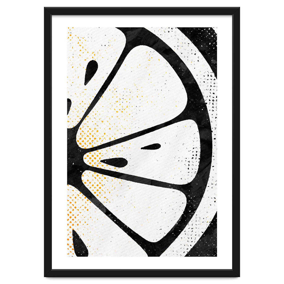 Citrus Collection No4