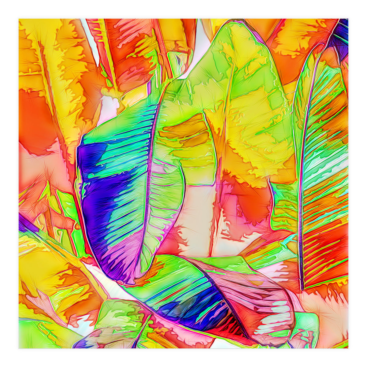 In All Things Of Nature, There's Something Of The Marvelous (Print Only)