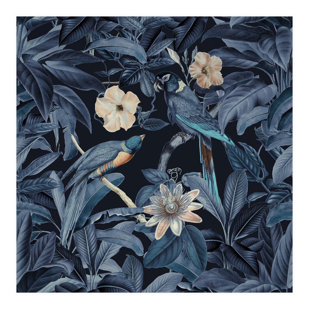 Exotic Jungle Birds At Night (Print Only)