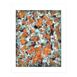 Little Falling Embers (Print Only) thumbnail