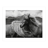 Horses In The Sky (Print Only) thumbnail